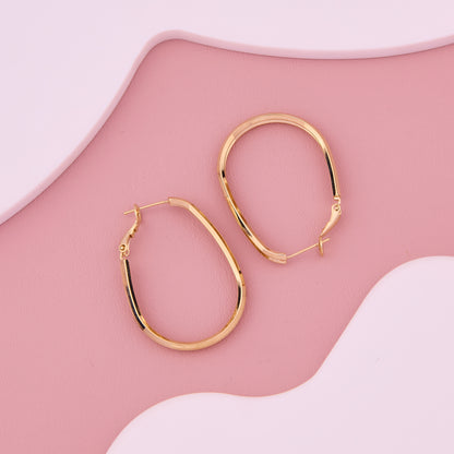 Golden Double Hoop Earrings