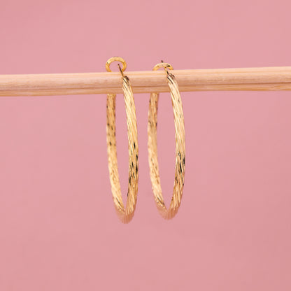 Golden Double Band Hoop Earrings